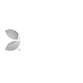 Evolution Gaming Logo